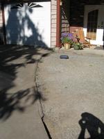 yard work 2010